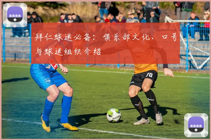 拜仁球迷必备：俱乐部文化、口号与球迷组织介绍